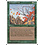 Magic: The Gathering Untamed Wilds (279) Lightly Played