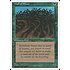 Magic: The Gathering Wall of Wood (284) Lightly Played