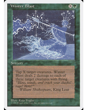 Magic: The Gathering Winter Blast (290) Lightly Played