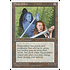 Magic: The Gathering Shapeshifter (345) Lightly Played