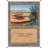Magic: The Gathering Oasis (362) Lightly Played