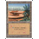 Magic: The Gathering Oasis (362) Moderately Played