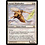 Magic: The Gathering Auriok Windwalker (005) Lightly Played