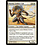 Magic: The Gathering Raksha Golden Cub (012) Lightly Played
