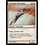 Magic: The Gathering Skyhunter Skirmisher (016) Moderately Played