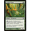 Magic: The Gathering Viridian Scout (100) Moderately Played