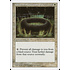 Magic: The Gathering Circle of Protection: Black (017) Lightly Played