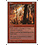 Magic: The Gathering Flare (230) Lightly Played