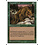 Magic: The Gathering Aspect of Wolf (278) Near Mint