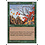 Magic: The Gathering Untamed Wilds (335) Lightly Played