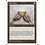 Magic: The Gathering Ivory Cup (380) Lightly Played