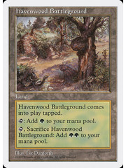 Magic: The Gathering Havenwood Battleground (417) Lightly Played