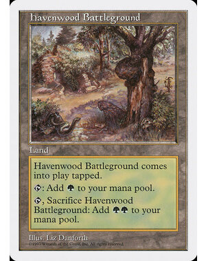 Magic: The Gathering Havenwood Battleground (417) Lightly Played