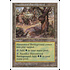 Magic: The Gathering Havenwood Battleground (417) Lightly Played