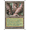 Magic: The Gathering Hollow Trees (418) Lightly Played