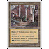 Magic: The Gathering Ruins of Trokair (422) Lightly Played