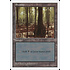 Magic: The Gathering Swamp (439) Lightly Played