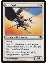 Magic: The Gathering Aven Squire (003) Lightly Played