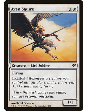 Magic: The Gathering Aven Squire (003) Lightly Played