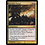 Magic: The Gathering Suicidal Charge (128) Lightly Played