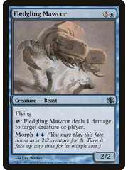 Magic: The Gathering Fledgling Mawcor (010) Moderately Played