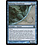 Magic: The Gathering Riftwing Cloudskate (015) Lightly Played
