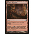 Magic: The Gathering Keldon Megaliths (058) Moderately Played