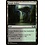 Magic: The Gathering Jungle Hollow (247) Lightly Played
