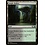 Magic: The Gathering Jungle Hollow (247) Near Mint