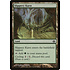 Magic: The Gathering Slippery Karst (026) Moderately Played