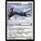 Magic: The Gathering Kemba's Skyguard (013) Moderately Played