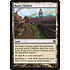 Magic: The Gathering Rustic Clachan (034) Moderately Played