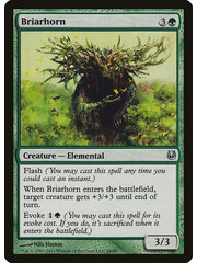 Magic: The Gathering Briarhorn (014) Moderately Played