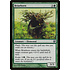 Magic: The Gathering Briarhorn (014) Moderately Played