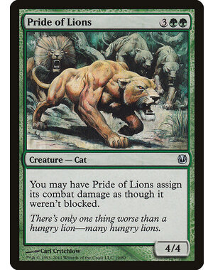 Magic: The Gathering Pride of Lions (019) Moderately Played