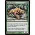 Magic: The Gathering Pride of Lions (019) Moderately Played