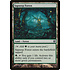 Magic: The Gathering Sapseep Forest (036) Heavily Played