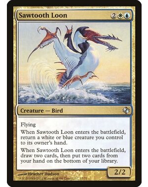 Magic: The Gathering Sawtooth Loon (017) Moderately Played
