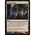 Magic: The Gathering Evolving Wilds (033) Lightly Played