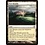 Magic: The Gathering New Benalia (035) Moderately Played