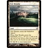Magic: The Gathering New Benalia (035) Moderately Played