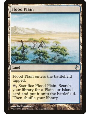 Magic: The Gathering Flood Plain (034) Lightly Played