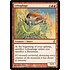 Magic: The Gathering Lithophage (057) Moderately Played