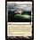 Magic: The Gathering New Benalia (034) Lightly Played