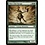 Magic: The Gathering Ghor-Clan Savage (053) Lightly Played