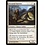 Magic: The Gathering Doomed Traveler (002) Lightly Played