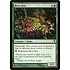 Magic: The Gathering River Boa (049) Lightly Played