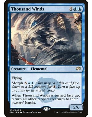 Magic: The Gathering Thousand Winds (058) Heavily Played