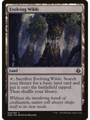 Magic: The Gathering Evolving Wilds (058) Lightly Played