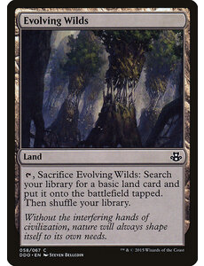 Magic: The Gathering Evolving Wilds (058) Lightly Played